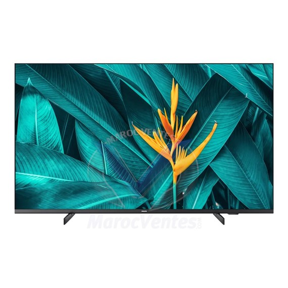 TV MediaSuite IPTV avec Chromecast Dalle UHD sans Bord 55